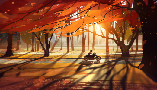 988997 (a): :1920x1106